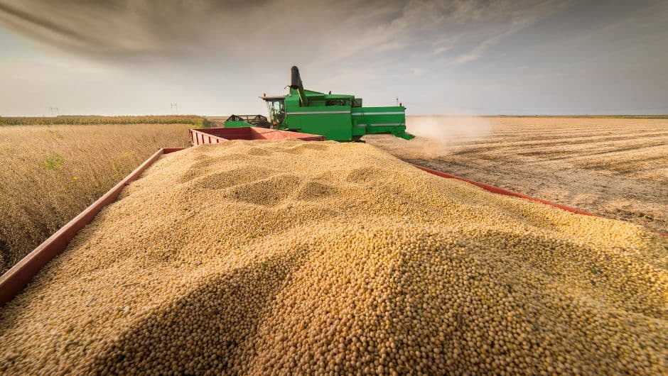Production agricole
