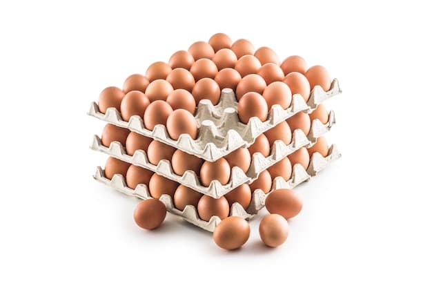 Plateaux d'œufs frais