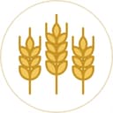Decorative Wheat